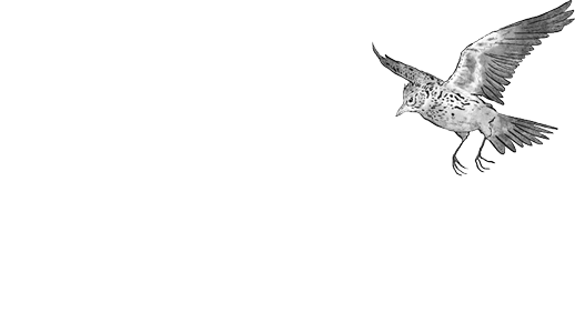 Skylark Films